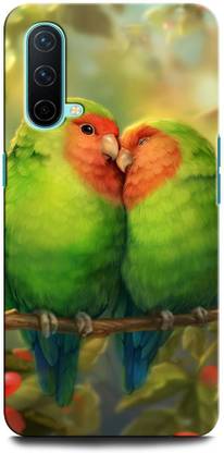 GRAFIQE Back Cover for OnePlus Nord CE 5G PARROT, COLORFULL PARROT, BIRD