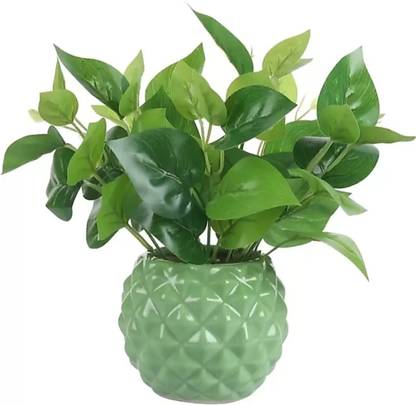 OriginalCeramics Plant Container Set