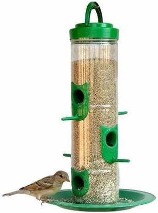 PONDICHERRY PIGEONS Window Bird Feeder Bird Feeder