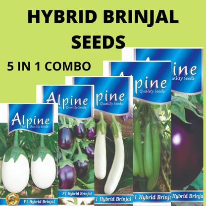 ALPINE HYBRID SEEDS BRINJAL, BEGAN Seed