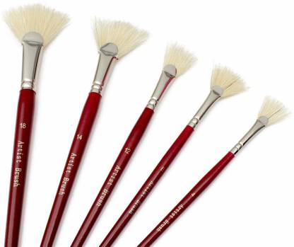 DELITON Artist Quality Fan Brushes Anti-Shedding Artist Soft Hog Bristle Paint Brush Set for Acrylic Watercolor Oil Painting (Set of 5 pcics)