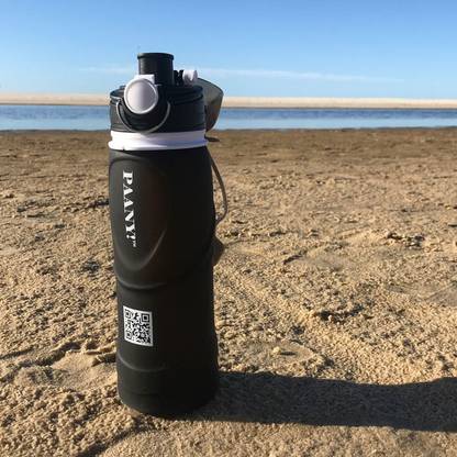 PAANY 750 ml Water Purifier Bottle 750 ml Bottle