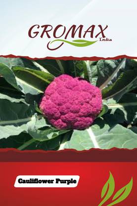 Gromax Cauliflower Pink Seed