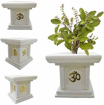 The Nursery Tulsi Plant