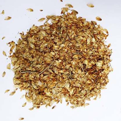 RK Seeds RK Seeds Savukku Tree Seeds,Casuarina Junghuhniana,Casuarina seeds,Casuarina tree seeds - 100 gm Seed
