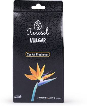 Aerosol Room VULGAR Car Air Freshener Humidifier