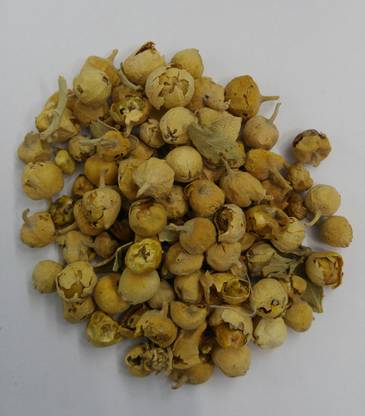 Healthy Herbs Paneer Dodi