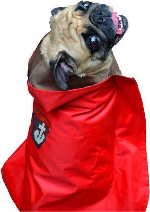 Kitty & The Woof Gang Raincoat for Dog, Cat