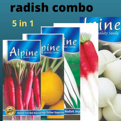 GARDENIFY INDIA YELLOW ROUND RADISH,WHITE ROUND RADISH,RED RADISH,HALF RED RADISH,WHITE RADISH Seed
