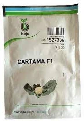 SHINE BRAND SEEDS bejo seeds Seed