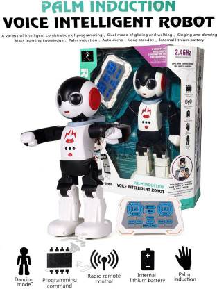 Radha Kripa Voice INtelligent Robot Palm Induction