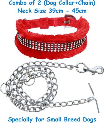 BODY BUILDING Dog Collar & Chain