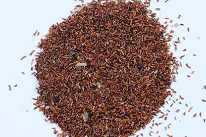 RK Seeds Eucalyptus Seed