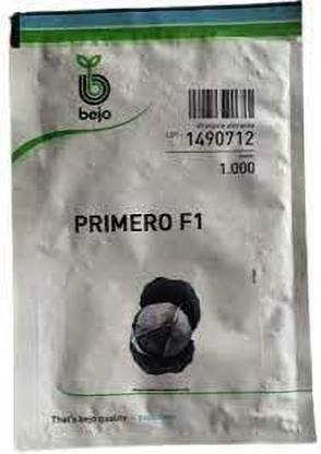 SHINE BRAND SEEDS Cabbage Red Primero - Bejo Seeds Seed