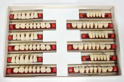 pyrax Dental Health & Wealth Double Layer Resin Teeth Type (23/425- A1) Dental Elevator