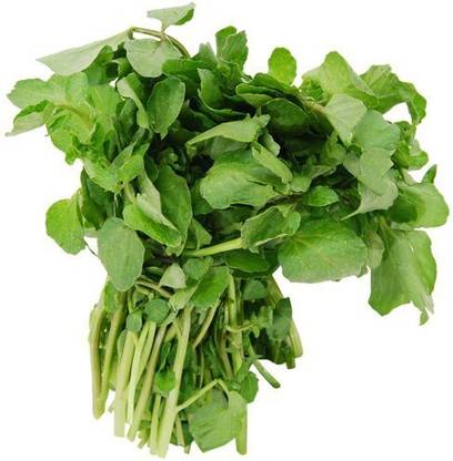 XOLDA WaterCress Seed