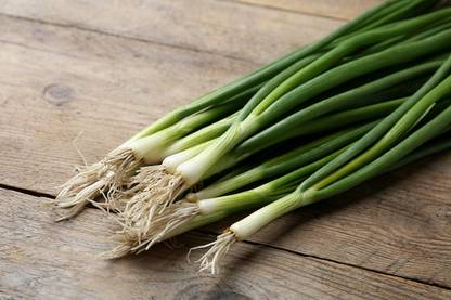 XOLDA Bunching Onion Seed