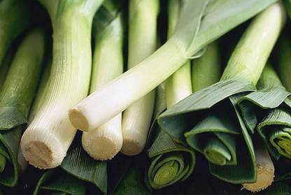 XOLDA Leek Seed