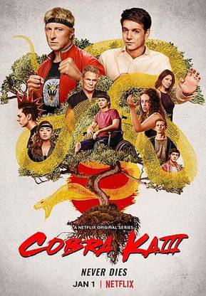 Cobra Kai Karate Netflix Matte Finish Poster Paper Print
