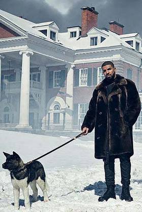Drake Dog Snow Views Matte Finish Poster Paper Print