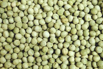 Plantzoin Green peas, Matar chana, Pattani, Vatane, Pisum sativum Seed