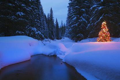 Smoky Design landscape winter trees snow Wallpaper Poster
