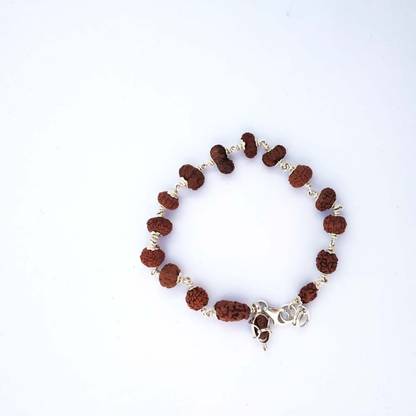 Shiv Kripa Rudraksha Kendra 1 to 14 Mukhi Sarv Siddha Rudraksha Bracelet In Pure Silver Wood Locket