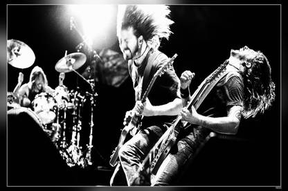 Foo Fighters Rock Band The Holy Shits Dave Grohl Taylor Hawkins Pat Smear Chris Shiflett Nate Mendel Rami Jaffee William Goldsmith Franz Stahlz Matte Finish Poster Paper Print