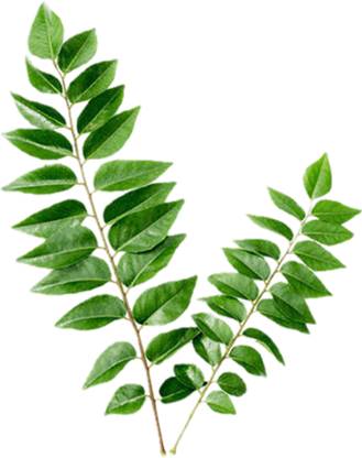 Curry leaves