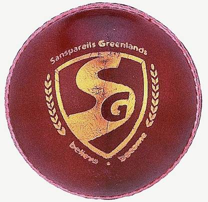 Sg seamer SG Cricket Leather Ball