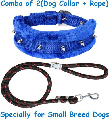 PEDIGONE Dog Collar & Leash