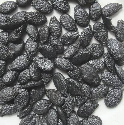 Plantzoin Ridge Gourd, Bitter Luffa, Ban Turai, Jalini, Luffa Acutangula Seed