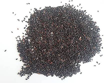 Ravel Super Napier Grass Seed, Australian Red Napier Grass Seed