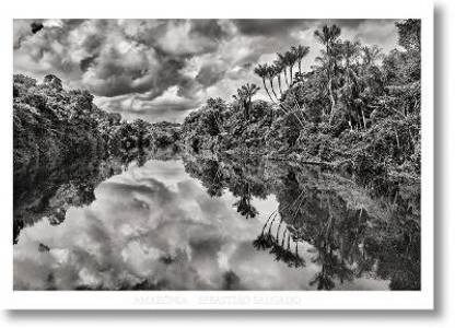 Sebastiao Salgado. Amazonia. Poster 'Jau River'