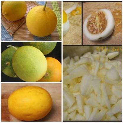 Chalisa Yellow Cucumber, Cucumis, Cucumber Yellow Round Seed