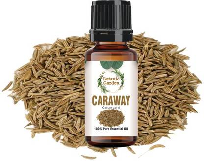 botanic garden Caraway /Carum carvi For Bronchitis, cough, headache, nervousness/Undiluted 100% Pure Essential Oil