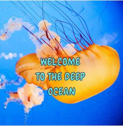 Welcome to the Deep Ocean
