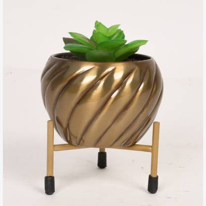 Roots & Shoots Plant Container Set
