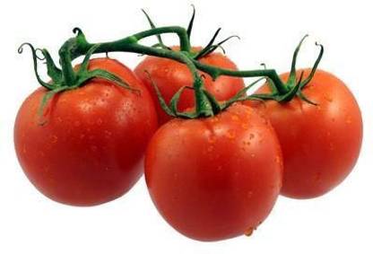 Rabbit Tomato, tamatar Seed