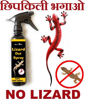 Badalteyalfaaz Lizard Out ( Chhipkili Bhagao ) Spray To Permanently Out All Lizard To Your Home Offices Garden 0.3 L Hand Held Sprayer