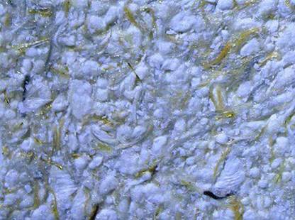 Grapits Fiber glitter wall coating GC_39 white, GOLD Functional Wall Paint