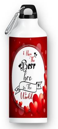 TrendoPrint (FM-92) Printed I Have The Best Bro 600 ml Sipper