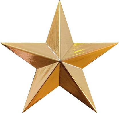 Scintilla 3D Gold Star Lapel Pin/ Badge/ Brooch