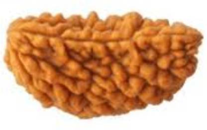 Durga gems 1 Mukhi Rudraksha Natural Lab Certified (Ek Mukhi Rudraksha Silk Dori Pendant