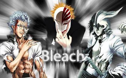 Anime Kurosaki Ichigo Bleach Ulquiorra Cifer Matte finish Poster Paper Print