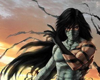 Bleach Kurosaki Ichigo Anime X Anime Bleach Hd Art Matte Finish Poster Paper Print