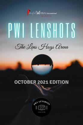 PWI Lenshots