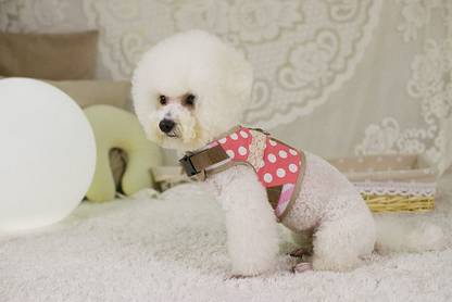 A+a pets Retro Vest Style Combo of Harness & Leash Set, No Pull, No Escape, Breathable, Cute Soft Prints for Puppies, Small Dogs, Cats (Polka, Pink, Medium) Dog Harness & Leash