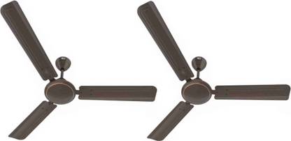 HAVELLS Reo Tajes with 2 Year Warranty Energy Saving 1200 mm Ceiling Fan