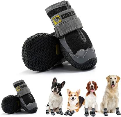 KUTKUT Shoes for Dog